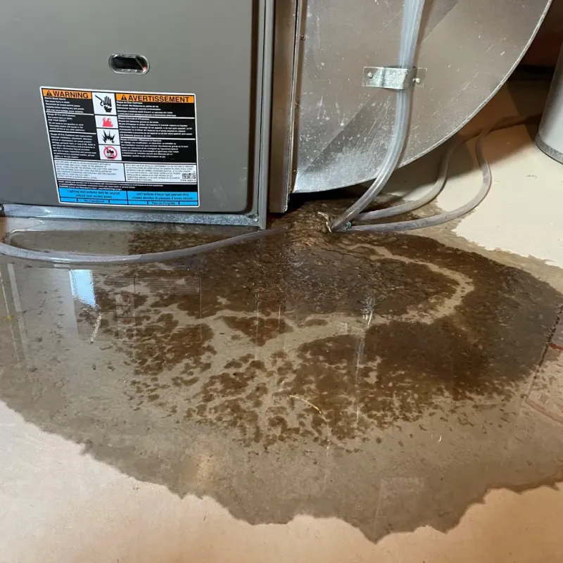 Appliance Leak Cleanup in Wilson, NC